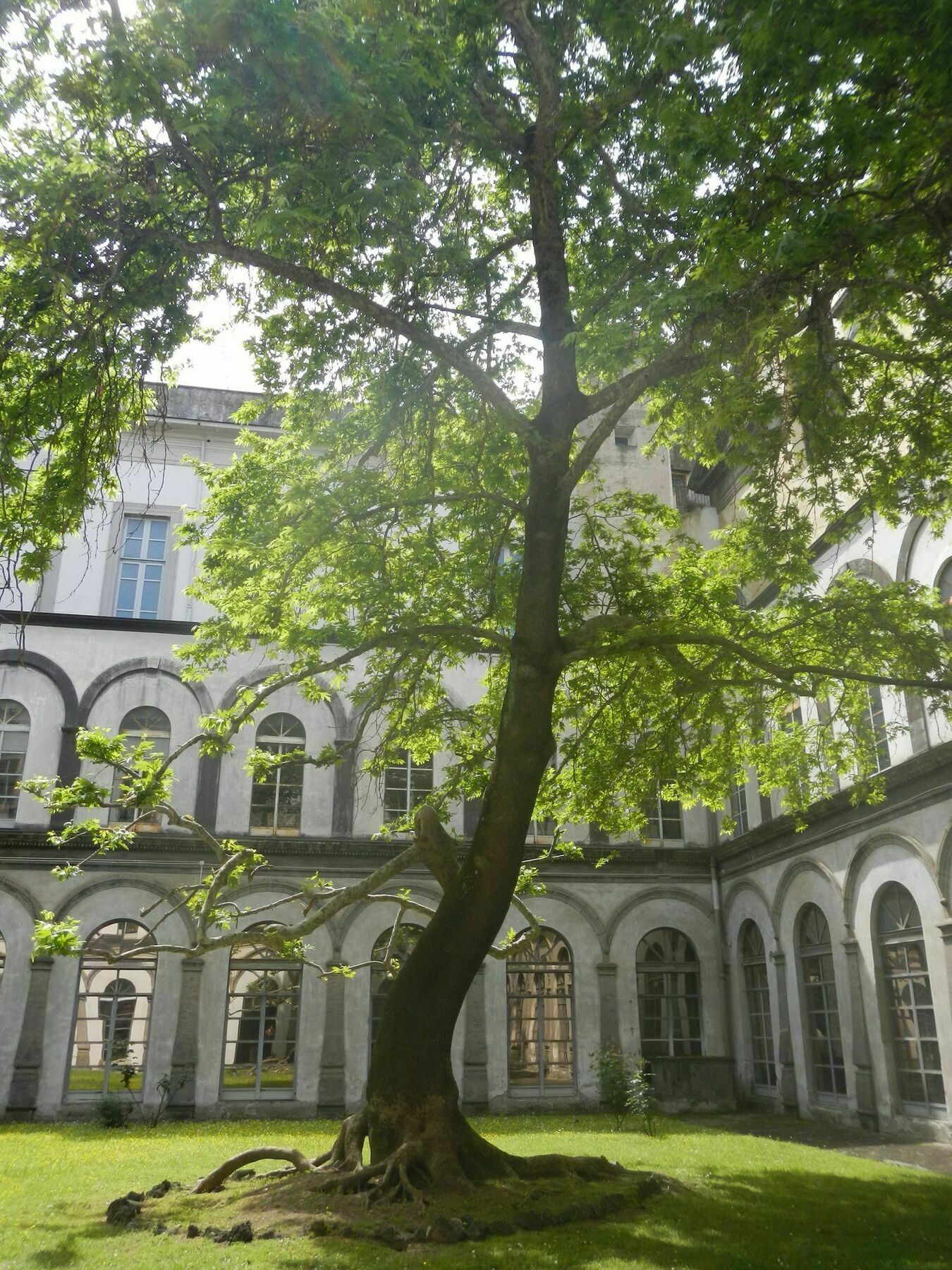 Hotel Meuble Santa Chiara Suite Naples Exterior photo